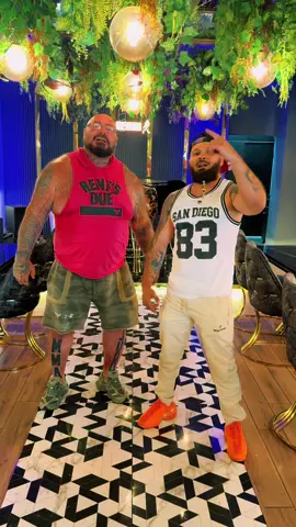 A post by @ovidiuneveu_neveu on TikTok caption: #ovdiuneveu #neveuovidiu @Sandu_Lungu_MMA 