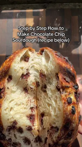 A post by @wheatculture on TikTok caption: Step by step how to make chocolate chip sourdough  350g bread flour  287g water  70g starter  7g salt a grip of chocolate chips #sourdoughtiktok #sourdough #sourdoughstarter #sourdoughtok #sourdoughasmr #sourdoughcrunch #sourdoughbread #sourdoughclub #chocolatechipsourdough 
