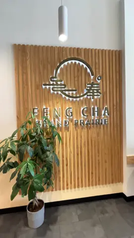 A post by @zastyypearl on TikTok caption: Come spend the day with me!🫶🏻 I love spending time with my parents lol & I forever will idc how old I am :)  #hawaiianbbq #fengcha #boba #partyplanning #foryou #fypシ 