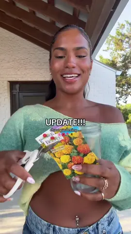 A post by @monetmcmichael on TikTok caption: welp… this is depressing lmao. going to make a raised garden bed with just fresh soil so we can actually get this garden on and poppin.🌹🌸💐🌺🌷🌻🥀🌼 i got BIGGG shoes to fill with Monet’s Garden and all 😮‍💨💕