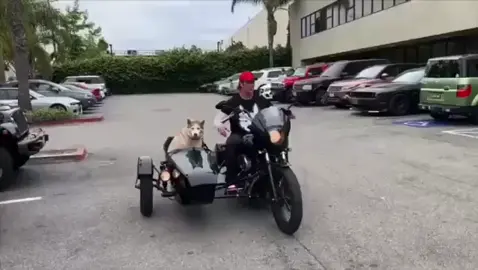 A post by @mikeohearn on TikTok caption: #onthisday 