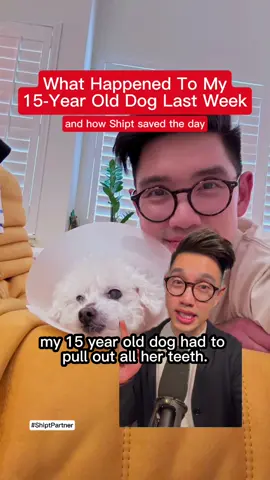 A post by @calltoleap on TikTok caption: #ShiptPartner : 🚗📦 All pet owners can agree that once their furbaby gets sick, it's a huge stress. When I didn't have it in me to go to the store last week, I turned to @Shipt where I could get all of my dogs new food delivered right to my door. Even better, with a Target Circle 360 membership, you can now shop on Shipt without any price markups across stores.  Offer valid for Target Circle 360 members only. Now through May 2026. Pricing is generally based on information from retailers, including alcohol pricing. "No Markups" means product prices are generally the same as in-store, except for alcohol. Alcohol prices, and prices on non-alcohol items where alcohol is predominantly sold, are generally not the same as in-store. Pricing and availability is subject to change without notice, delays, data limitations, adjustments, and/or errors. In-store deals may not apply.