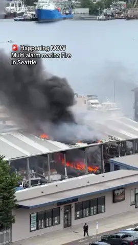 A post by @photogsteve81 on TikTok caption: According to the Seattle Fire Department, crews responded to a report of a fire on a boat moored near the 2100 block of Westlake Avenue N. around 4:30 p.m. on Wednesday. Crews reported a fire in a 40' vessel that is moored in a covered marina. The roof of the marina reportedly caught fire. #info #news #update #fire #boat 