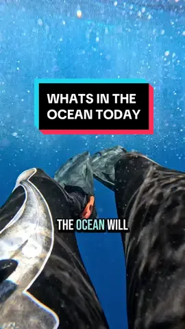 A post by @scubadan_ on TikTok caption: 😂😂😂 ah yes the ocean. Well what will the ocean bring my way today ? 