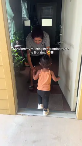 A post by @spiritamethystt on TikTok caption: Straight from the airport! Soulie is my moms first grandchild this was so healing to see 🥹❤️