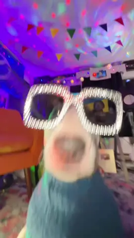A post by @mistermainer on TikTok caption: Ukrainian music is amazing 🇺🇦 #україна🇺🇦 #україна #собаки #смішний #собака #funny #dogs #Meme 