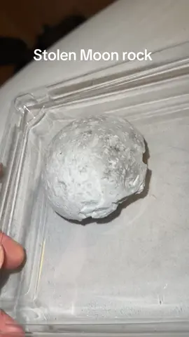 A post by @adrian_peru on TikTok caption: The museum offering $5k for information… I got the whole case closed 🌖🕵🏾‍♂️🫆 #StolenMoon #Musuem #MissingArtifact #Nephew #Reward #Moonrock 