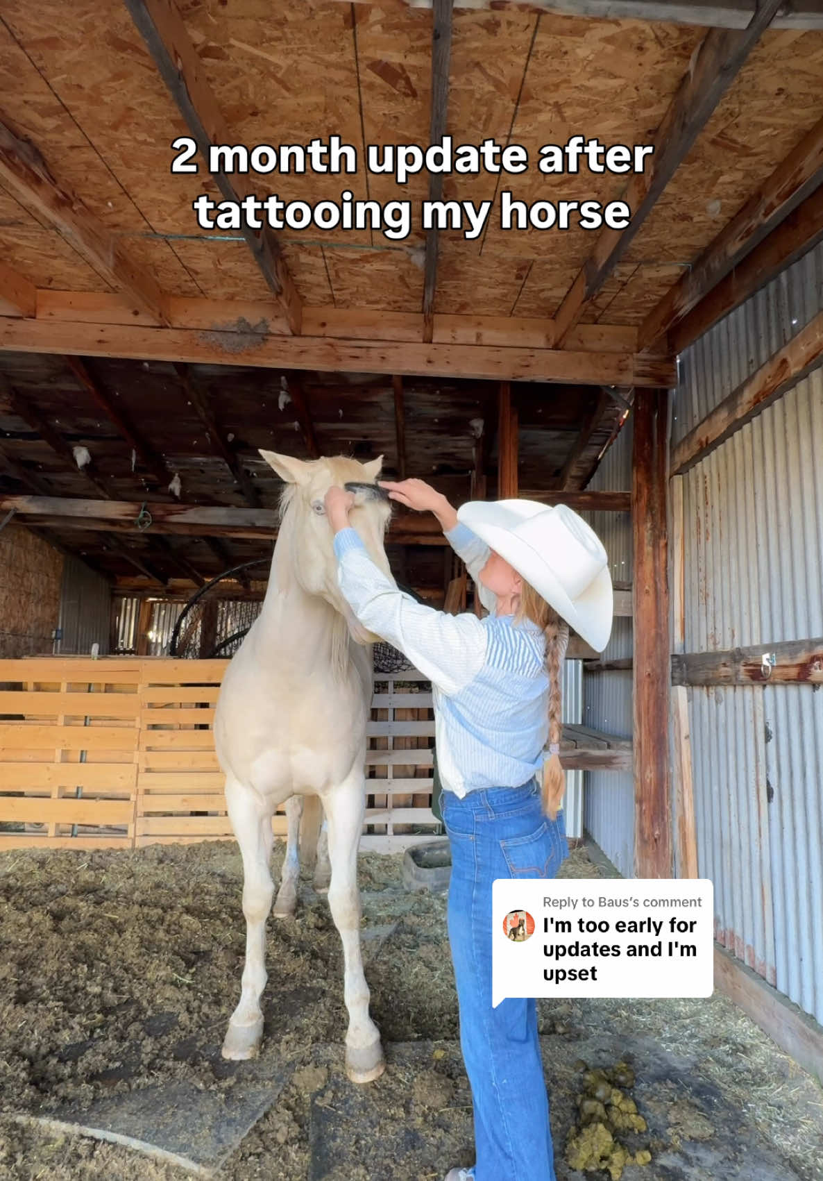 A post by @steadyrein on TikTok caption: Replying to @Baus already seeing a big difference in his sensitivity to light🙏 alright keyboard warriors! let’s remember that horse skin is different than humans. no, it doesn’t burn worse. black absorbs uv, but doesn’t trap heat dangerously in skin this thin. yes, dark pigment reduces uv penetration. that’s photobiology 101, not opinion. no, it’s not replacing melanin. it mimics its function in high-risk pink skin. yes, pink skin has a higher rate of squamous cell carcinoma, especially around the eyes. no, this doesn’t replace fly masks or shade. it’s one more layer of defense no, it doesn’t block all uv, but it absorbs enough to help. human skin is thicker and naturally better at handling uv — horse skin, especially pink areas, is thinner, more exposed, and way more vulnerable to damage. that’s why this matters, even IF it only helps by 1%, that is significant in the long run. 