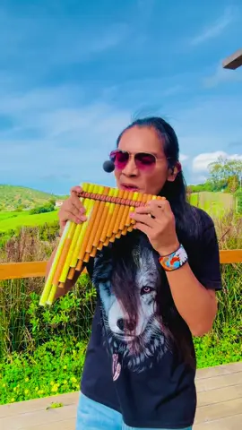 A post by @ammorett on TikTok caption: Hello dear friends Have a beautiful Day🙏 #comunityfest #creatorsearchinsights #tiktoklive #fypシ #parati #musicaenvivo #music #flute #panflute #native #viral #musique #pourtoi #müzik #fürdich #dlaciebie #muzyka #индеец #музыка #блогеры #топчик #длятебя 