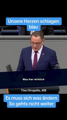A post by @svenhaemischafd on TikTok caption: #afd #unserlandzuerst #deutschland #mutzurwahrheit #erinnerung 
