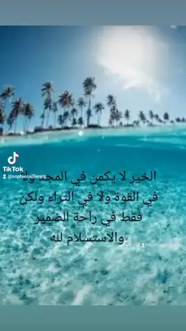 A post by @sophiecailleretz on TikTok