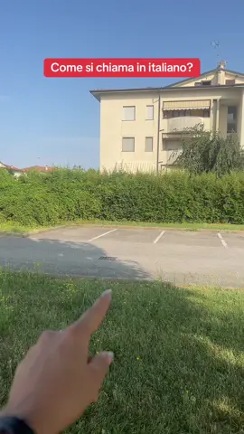 A post by @chiaras.italiano on TikTok caption: Learn Italian 🇮🇹 — #italian #italiano #italianoparabrasileiros #italianforbeginners #italianstreet #italianoparaprincipiantes #italianoperstranieri #italianopergliarabi #italianoperprincipianti #italianoparahispanohablantes #learnitalian #learnitalianwithme #imparareitaliano #imparareitalianoonline #learningitalian 