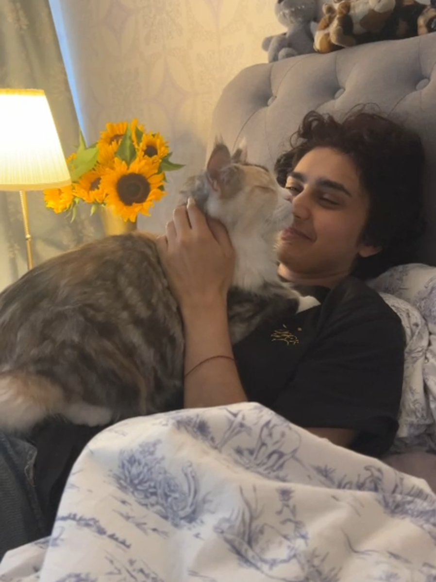 A post by @whataboutandy on TikTok