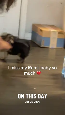 A post by @ruthlessitalian46 on TikTok caption: #onthisday #remii 