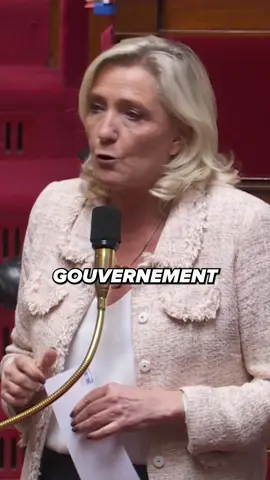 A post by @mlp.officiel on TikTok caption: Ce que nous souhaitons, c'est que les clandestins rentrent chez eux.