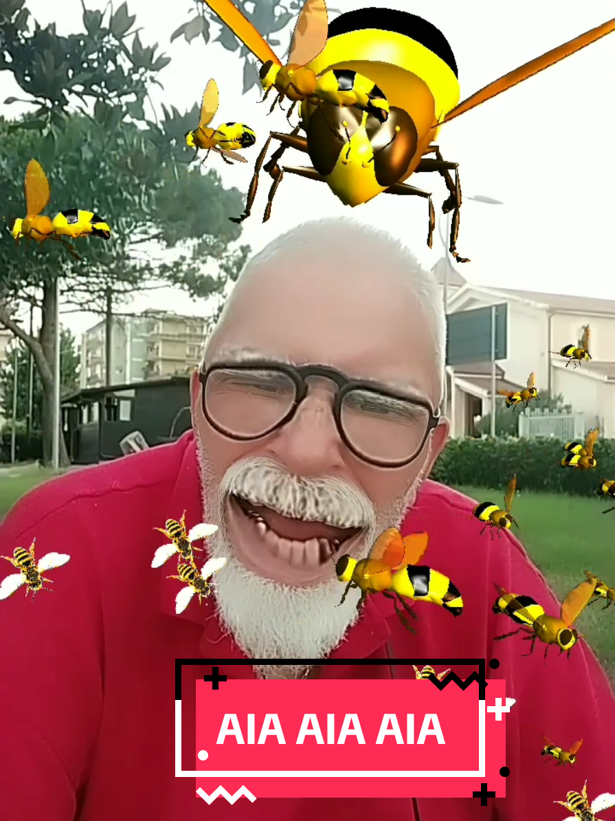 A post by @sergio_origlia on TikTok caption: no le vespe no #sergio_origlia #sergiooriglia #mrkaioken 
