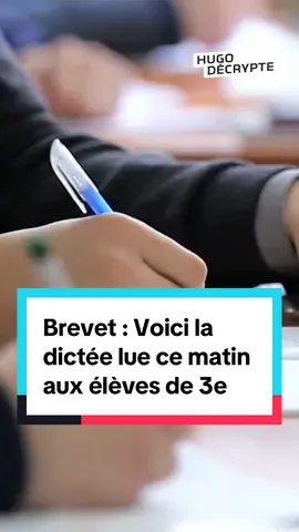 A post by @hugodecrypte on TikTok caption: ✍️ Alors combien de fautes as-tu faites ?