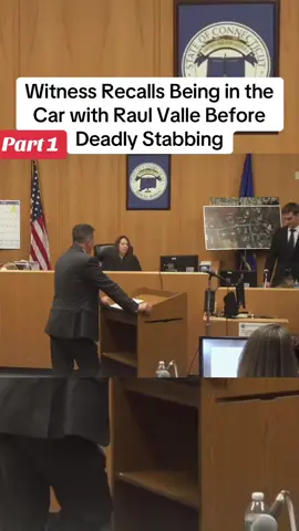 A post by @vancucxqkvw on TikTok caption: Part1: Another former high school student testified that he was around Raul Valle during the night of the deadly house party stabbing. The student was in the car with Valle and his friend when an argument occurred with rival students. He also confirmed that the defendant was allegedly looking for a knife. #crime #truecrime #truestory #case #fyp #viral #murder #usa #foryou 