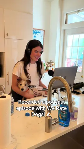 A post by @simonsits on TikTok caption: A day surrounded by dogs is a great day indeed 🥰 @Muddy Paws Rescue @Animal Care Centers of NYC @weratedogs 