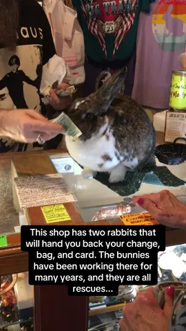 A post by @pubity on TikTok caption: Give this rabbit all of the carrots in the world 🐰🥕 #RoadTo18M #Pubity  (Kero Kero Galaxy via ViralHog)
