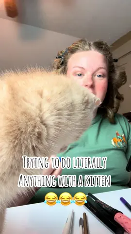 A post by @laciemevans_ on TikTok caption: Cannot accomplish anything with a kitten around 😂