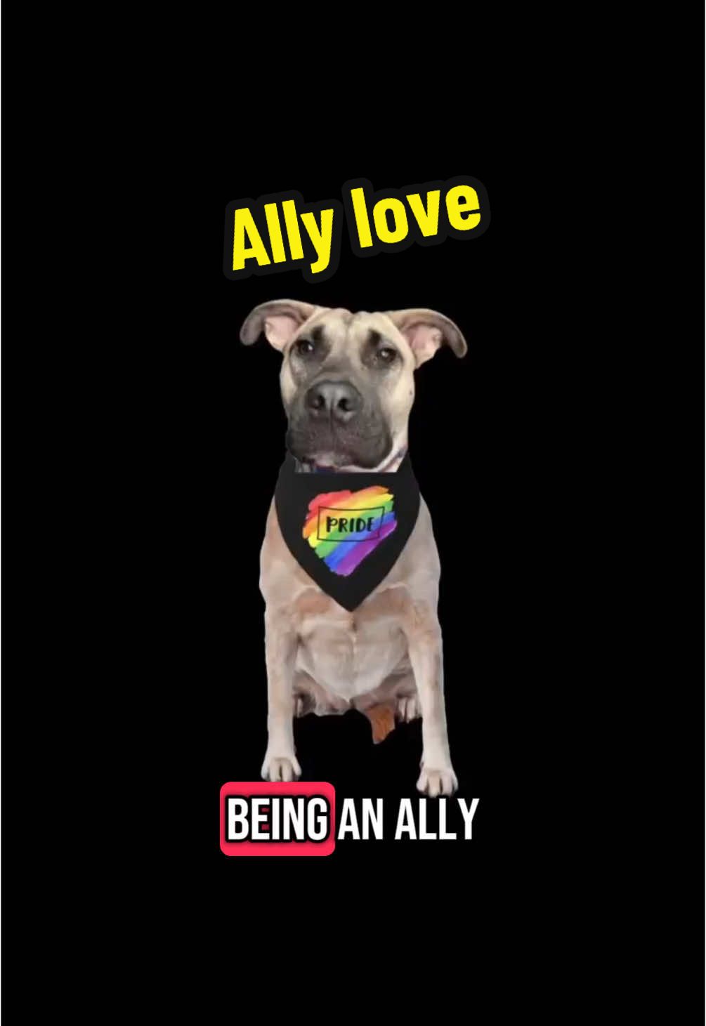 A post by @akarebear311 on TikTok caption: What it means to be an Ally #pride2025 #lnpvspiritweek #lovenpositivevibes  #allyship 