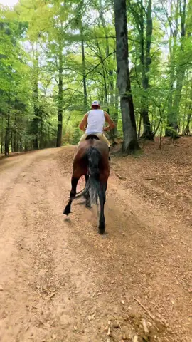 A post by @ovidiuneveu_neveu on TikTok caption: #ovdiuneveu #neveuovidiu 