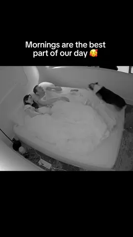 A post by @bradygraffiti_corgis on TikTok caption: Fur in my face is the only way I want to wake up in the morning 🥰