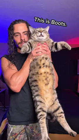 A post by @cainkerner on TikTok caption: This is one of my 5 #cats, Boots!  He’s a good boy. #catsoftiktok #cats 