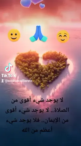 A post by @sophiecailleretz on TikTok