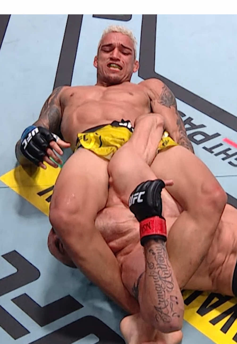 A post by @ufceurasia on TikTok caption: На это БОЛЬНО СМОТРЕТЬ 🫣 #UFC #MMA #armbar #submission #UFC317 #pain #bjj #oliveira 