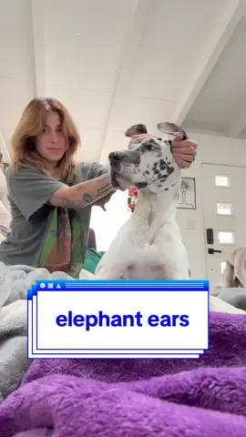 A post by @onlyjayus on TikTok caption: I think she liked it 