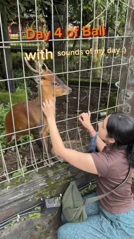 A post by @tanupaslife on TikTok caption: The vegan restaurant blew my mind  #bali #vlog #soundsofbali #dayinthelife #ubud #whattodoinubud 