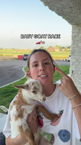 A post by @kimberlyoconnell on TikTok caption: Ok be honest, who did you think would win? #babygoat #babygoatrace #racing #animalrace #racinggames 