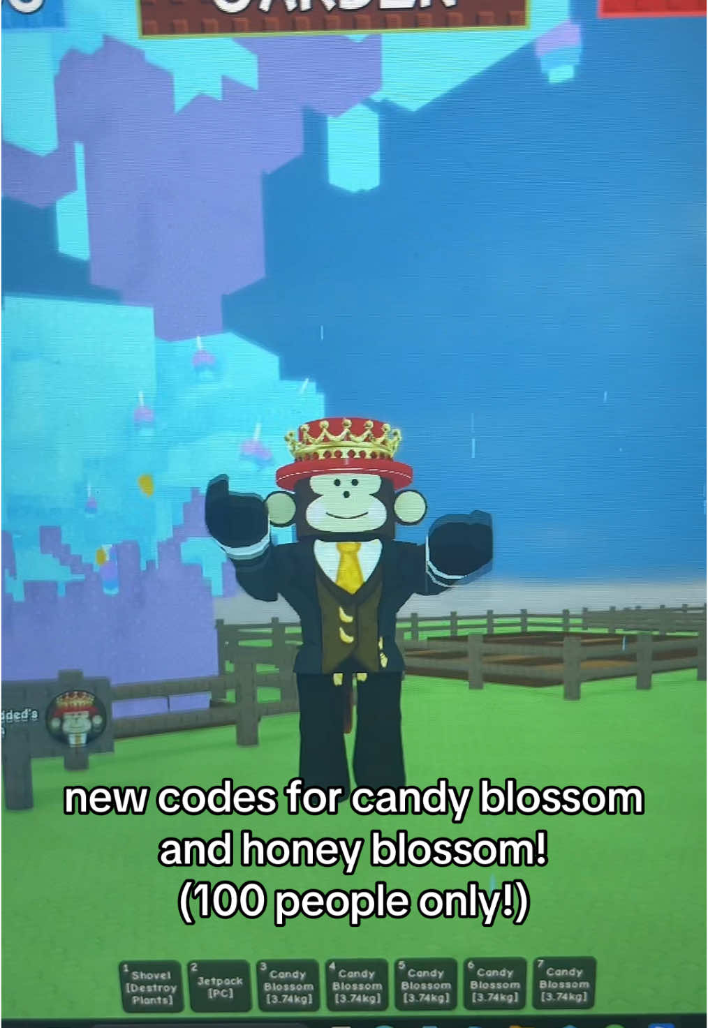A post by @rblxjandelgag on TikTok caption: new codes since yall asked ;D #jandel #growagarden #gag #fyp #goviral #robloxfyp #update #candyblossom #codes 