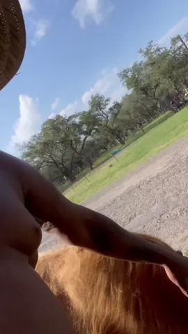 A post by @xwallstreetdonx on TikTok caption: Rodarius ain’t a normal bull 🐂 #fyp #foryoupage #country #cow #love #fypシ 