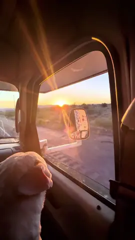 A post by @naimdarrechilemete on TikTok caption: Día 21 conduciendo desde México a Japón 
