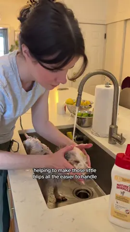 A post by @simonsits on TikTok caption: I’m so excited to see how Cheesecake will grow and change in our care, and love knowing we’re prepared with @Nature's Miracle® for any obstacle life throws at us. Shop Nature's Miracle through the link in my bio! #ad #naturesmiracle  