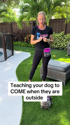 A post by @dynamitedogtraining on TikTok caption: #dogtrainer #dogtraining #fyp #dogtrainingmadesimple 