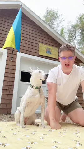 A post by @mistermainer on TikTok caption: 🇺🇦🇺🇦🇺🇦🇺🇦🇺🇦🇺🇦 (🚫🇷🇺)