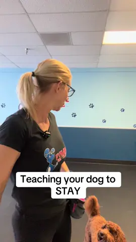 A post by @dynamitedogtraining on TikTok caption: #dogtrainer #dogtraining #fyp #dogtrainingmadesimple 
