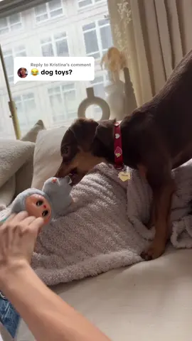 A post by @amandabatula on TikTok caption: Replying to @Kristina 