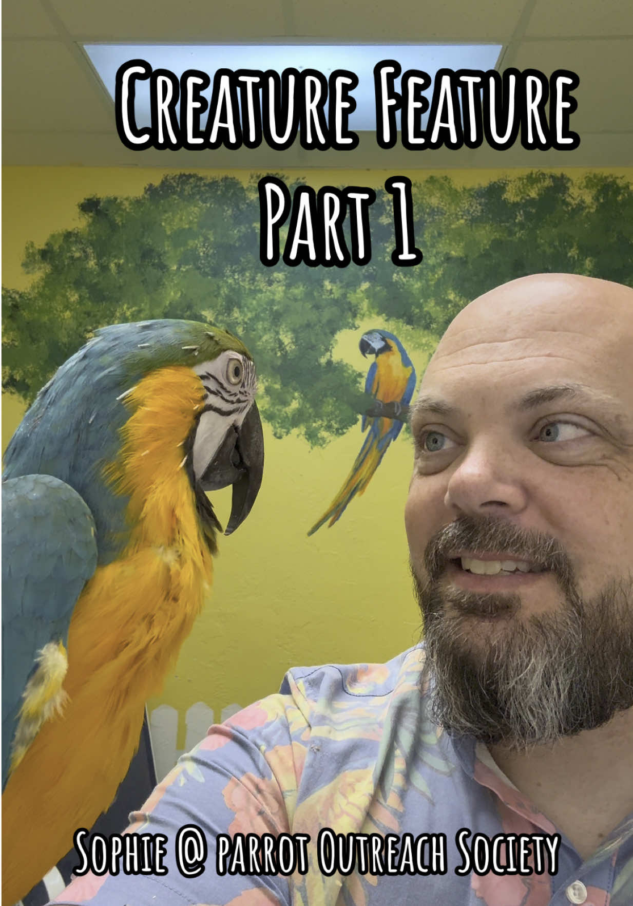 A post by @blueplanetpets on TikTok caption: Creature Feature: Part 1 Sophie @ParrotOutreachSociety in Punta Gorda FL #rescuebird #animalrescue #parrot #macaw #blueandgoldmacaw  #petbird #pets