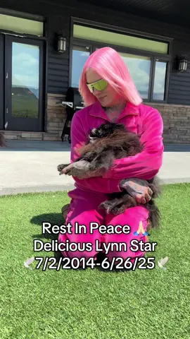 A post by @jeffreestar on TikTok caption: Today I lost one of my best friends.. Delicious was my world. Momma’s guard dog and the most beautiful, loudest personality. You were my everything. Love you always and forever my sweet prince 🙏🏻 #jeffreestar #dogs #pomeranian #delicious #dogloss #doggrief #dogsoftiktok