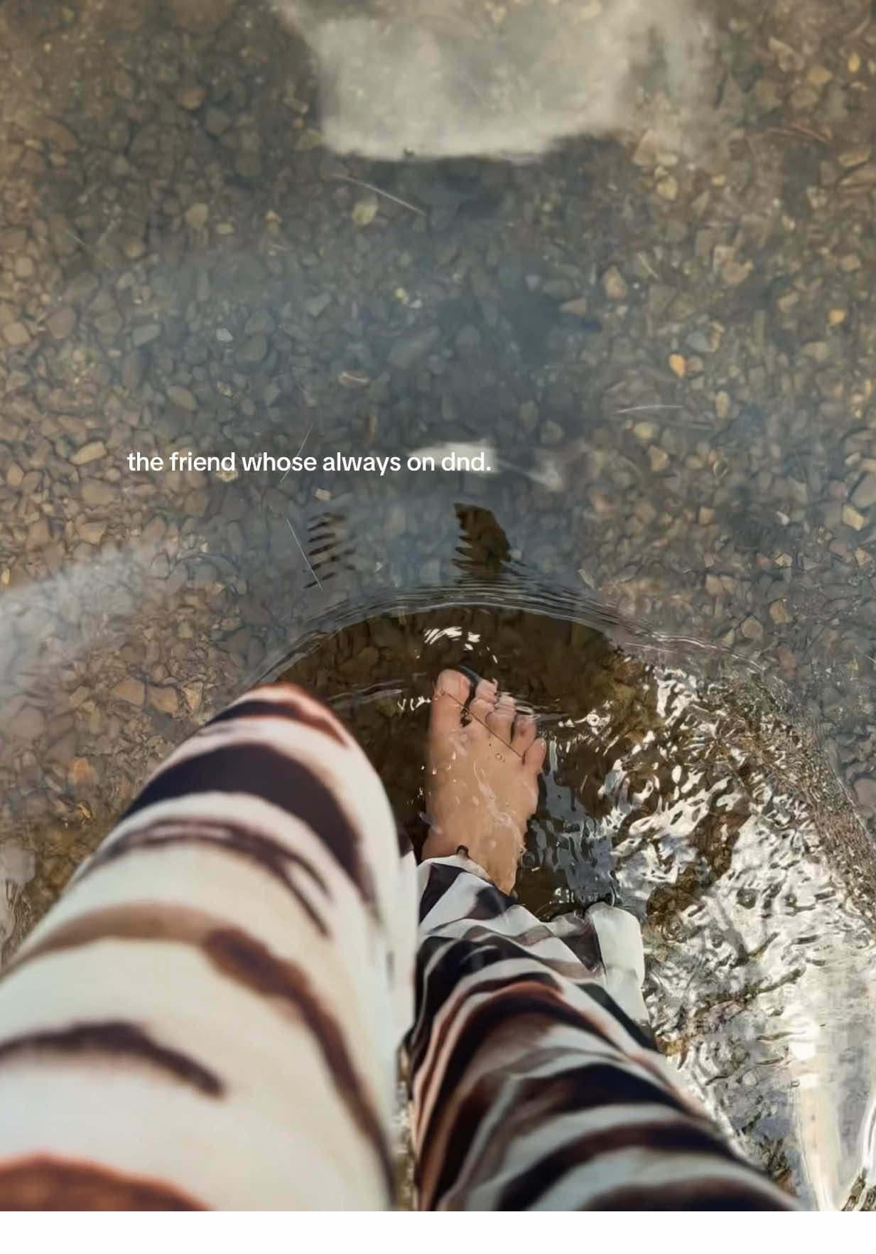 A post by @greenwitchdiaries on TikTok