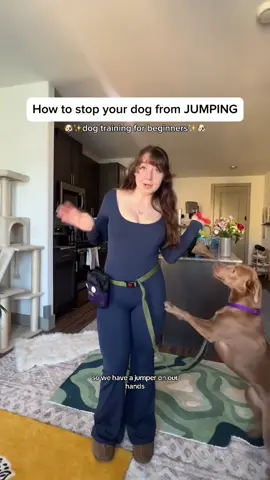 A post by @taylorcezanne on TikTok caption: Does your dog jump??! here’s how to fix up a few easy steps 🐶❤️ let me know what other dog training questions do you have! P.s. Don’t forget to download my ultimate new Puppy guide in my bio! Use code Tiktok to save 25% 😍 #newpuppy #puppylife #puppyprepping #dogtraining #stopdogfromjumping