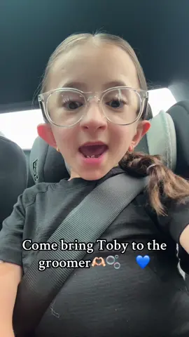 A post by @grwms.by.vitoria on TikTok caption: Come bring Toby to the groomer🫶🏻🫧🐾💙 @Pet Happy Day #grwmsbyvitoria #osteogenesisperfecta #osteogenesisawareness #fypシ #blowthisup #toby #comebringtobytothegroomer #pethappydaygrooming #pethappyday #tysm 