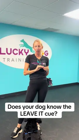 A post by @dynamitedogtraining on TikTok caption: #dogtrainer #dogtraining #fyp #dogtrainingmadesimple #doggo 