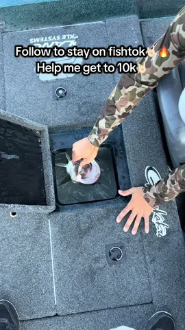 A post by @austinjfishing on TikTok caption: Follow for 🔥 fishing content #fishtok #viral #trending #followme #foryoupage #fyp #foryoupageofficiall #bassfishing #foryou #basstok #bassboats #foryouu 
