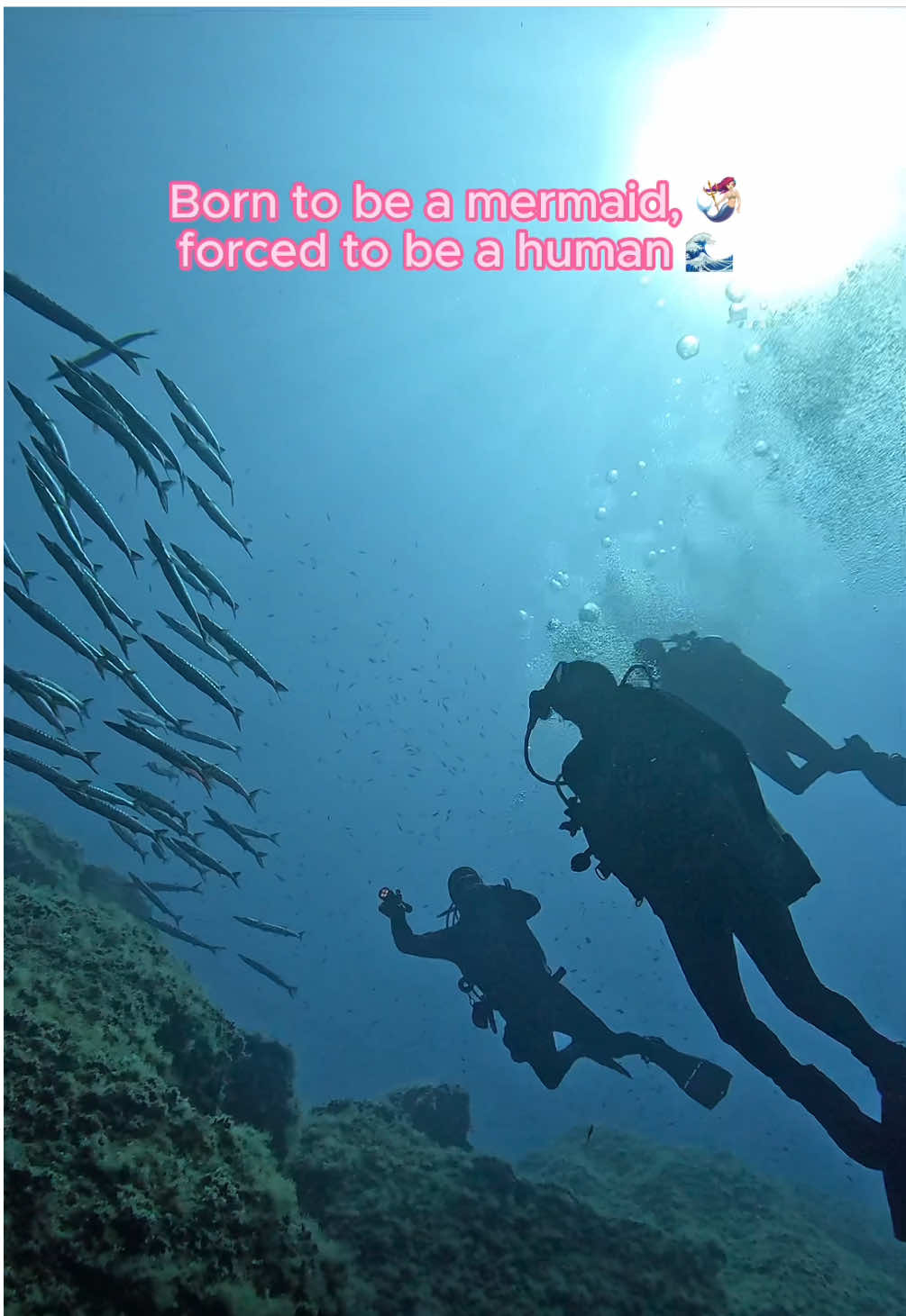A post by @parishilton on TikTok caption: Born to be a mermaid this #SummerofSliving 🧜🏻‍♀️🌊